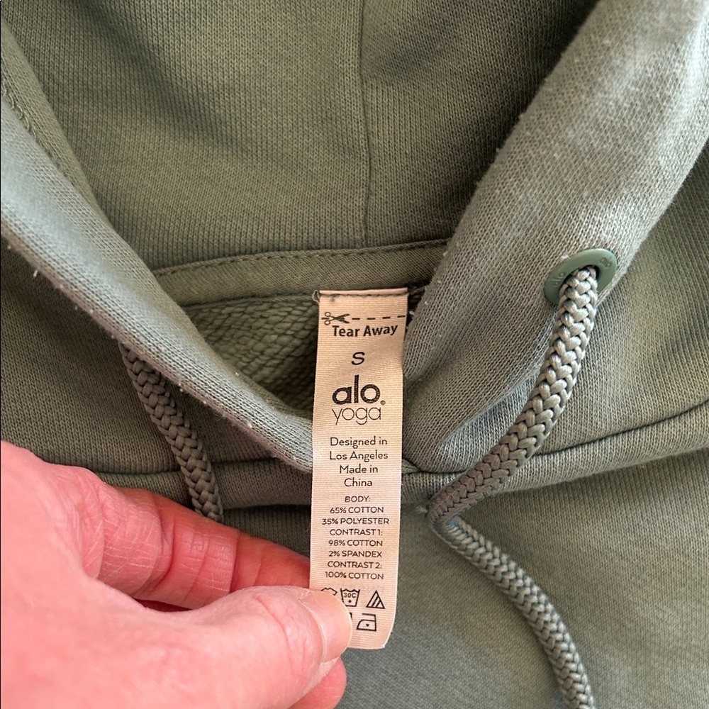 ALO Yoga Bae Cropped Hoodie in Seagrass - Picture 4 of 8